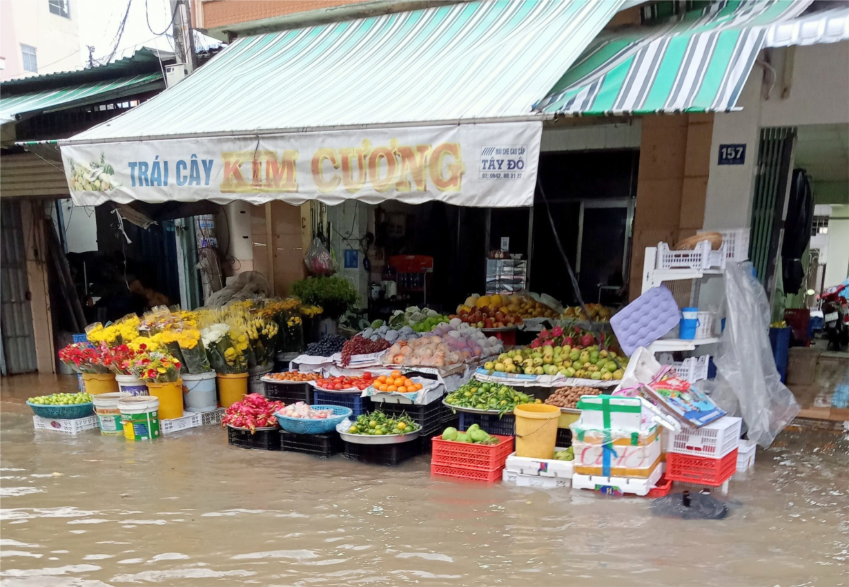 ĐBCSL: Giải pháp ứng phó với triều cường và mưa lớn (25/06/2024)